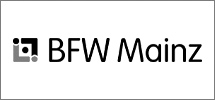 LowVision BFW-M